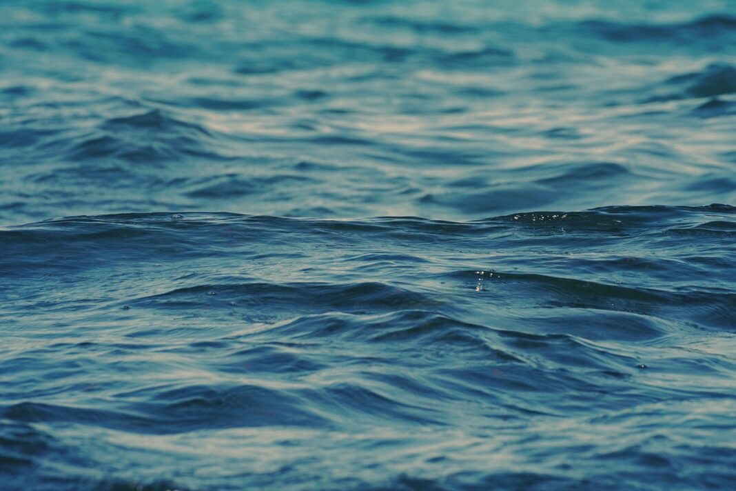 Снимка: pixabay