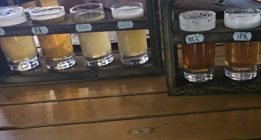 Международният ден на бирата: Наздраве!