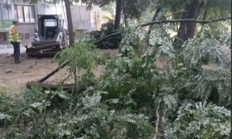 Изсичат зелен парк в Пазарджик заради проект на общината