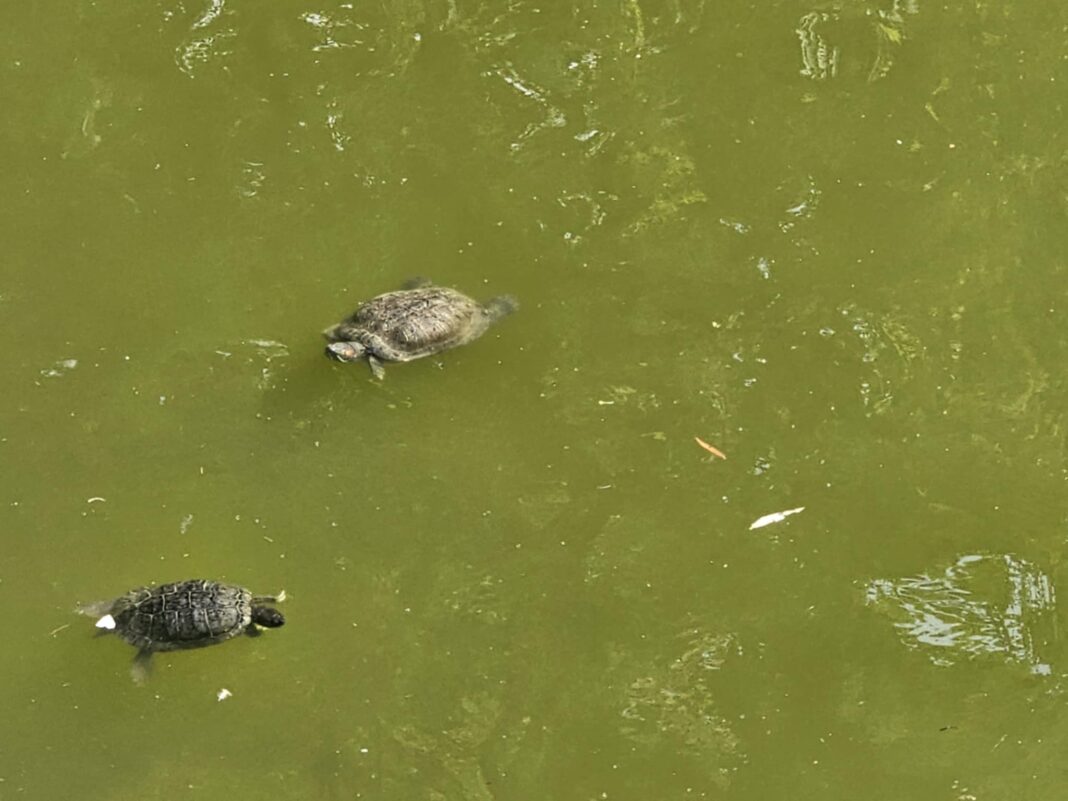 Водата – ключ към мир или източник на конфликти