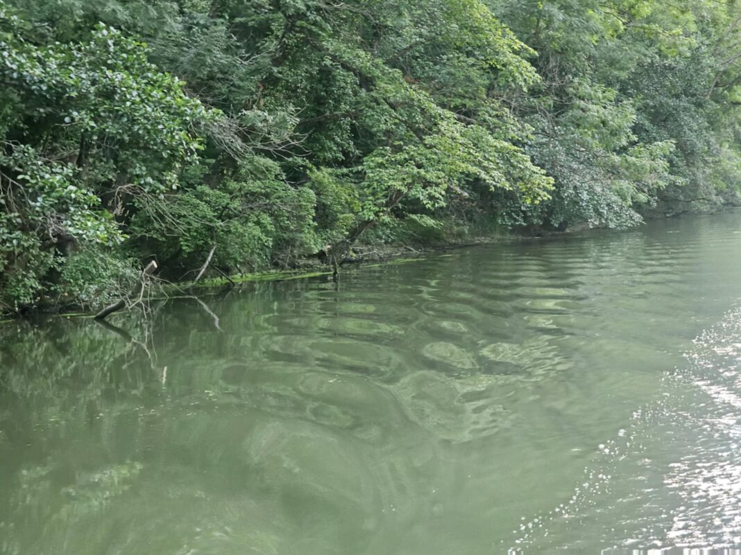 Полицията откри тяло на мъж в река Бистрица