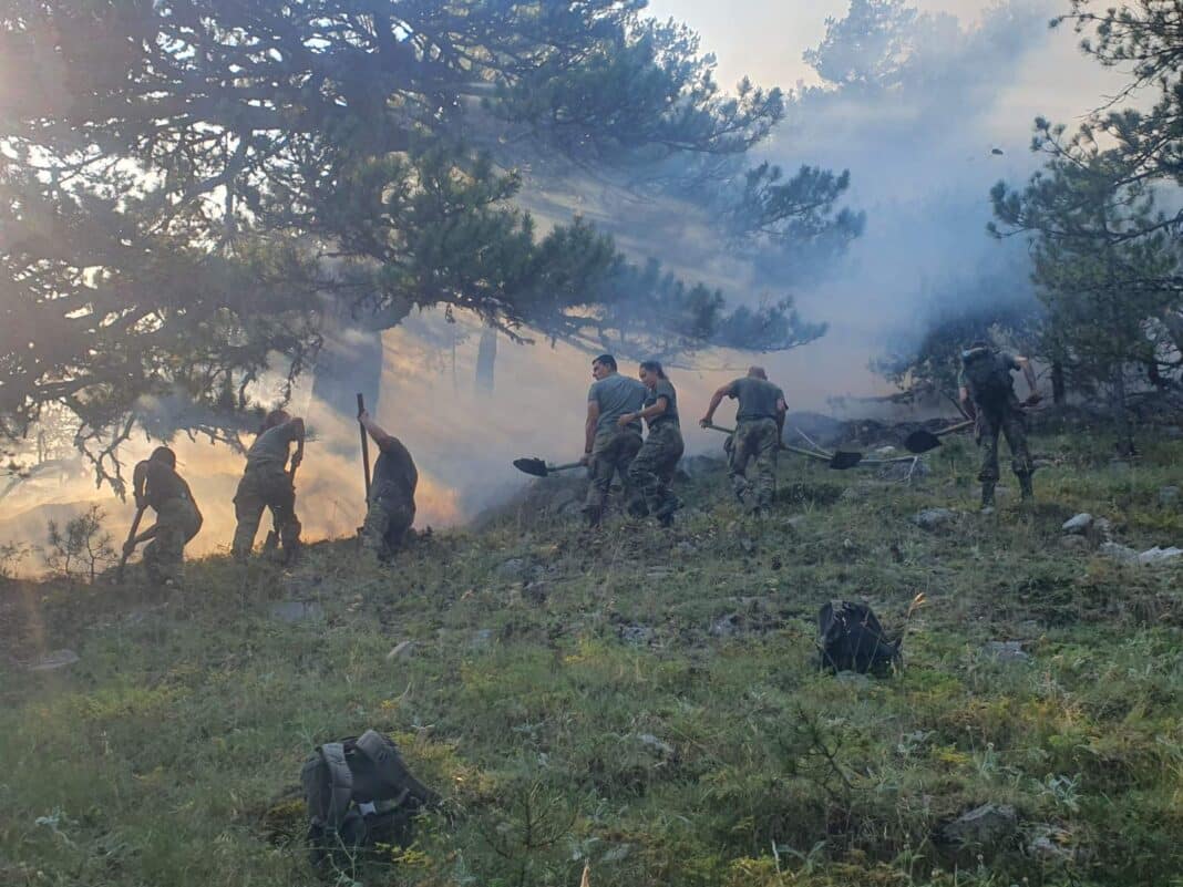 Снимка: Министерство на отбраната