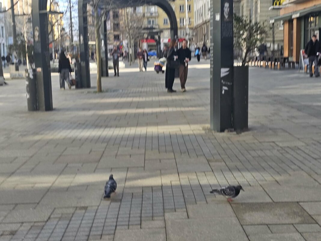 12 март – Международен ден за борба с глаукомата